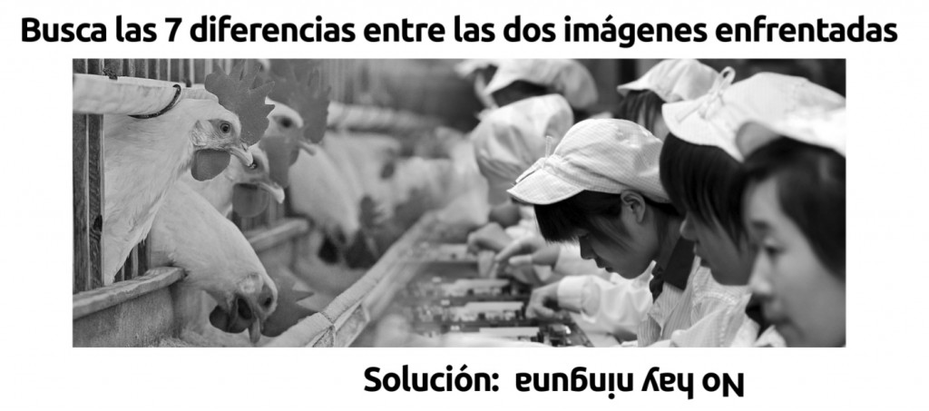 ideia 1º de 2015