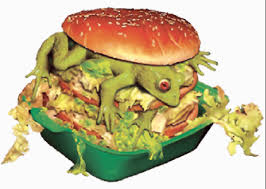 comida basura